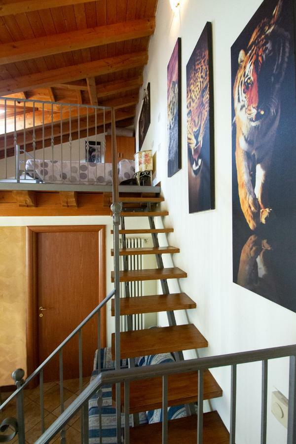 Residence San Miguel 8 维琴察 外观 照片